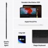 Apple iPad Pro 11" 2024 8GB RAM 256GB WiFi + Cell plata